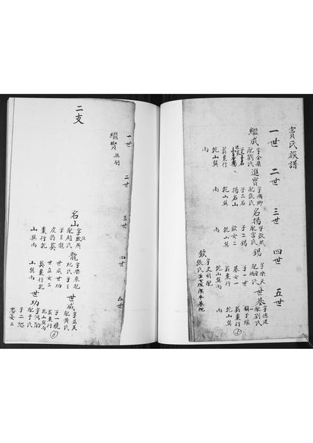山东窦氏-窦氏族谱.pdf电子版插图3