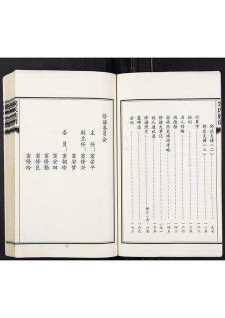 山东窦氏-窦氏族谱.pdf电子版插图5
