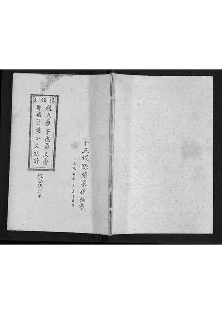 贵州赵氏-扬旗山赵氏应宗后裔天台乡铁匠炉分支族谱.pdf电子版插图