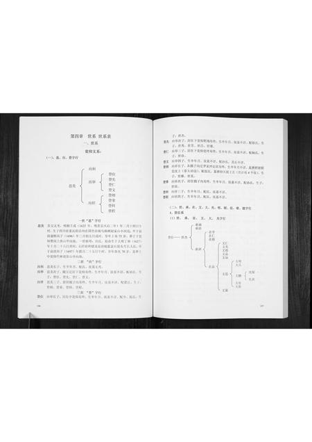 贵州赵氏-翁仰赵氏家谱.pdf电子版插图3