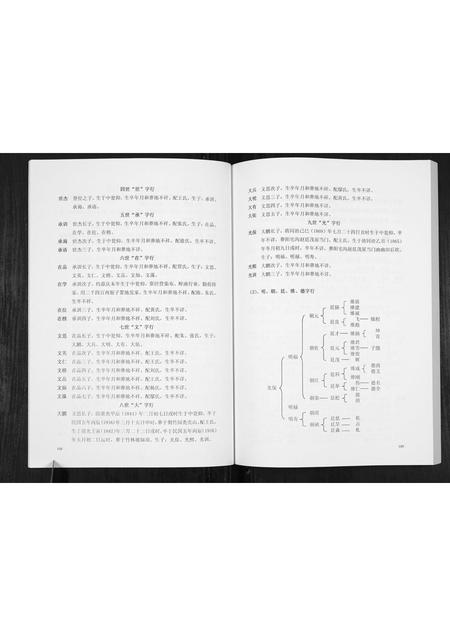 贵州赵氏-翁仰赵氏家谱.pdf电子版插图4