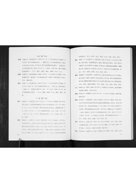 贵州赵氏-翁仰赵氏家谱.pdf电子版插图5