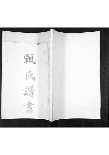 山东甄氏-甄氏谱书[不分卷].pdf电子版插图