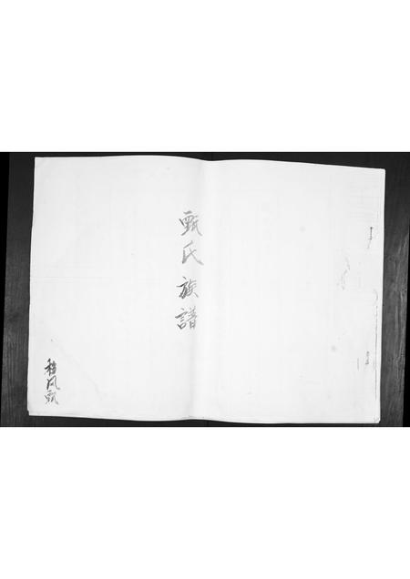 山东甄氏-甄氏谱书[不分卷].pdf电子版插图