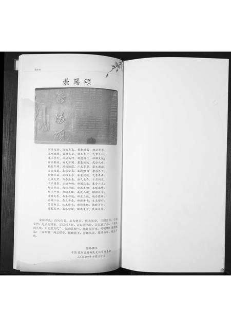 山东郑氏-郑氏大公支族谱.pdf电子版插图1