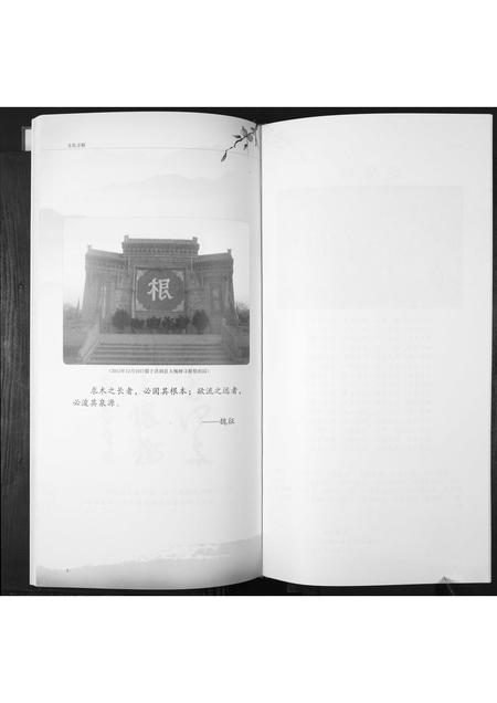 山东郑氏-郑氏大公支族谱.pdf电子版插图2