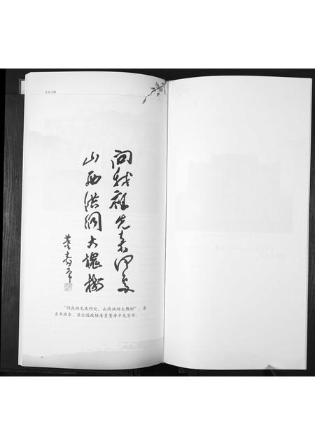 山东郑氏-郑氏大公支族谱.pdf电子版插图3