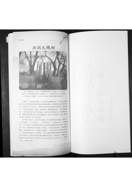 山东郑氏-郑氏大公支族谱.pdf电子版插图4