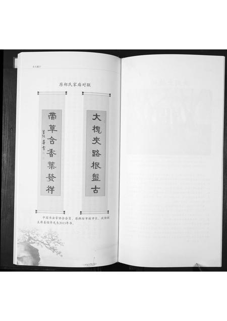 山东郑氏-郑氏大公支族谱.pdf电子版插图5
