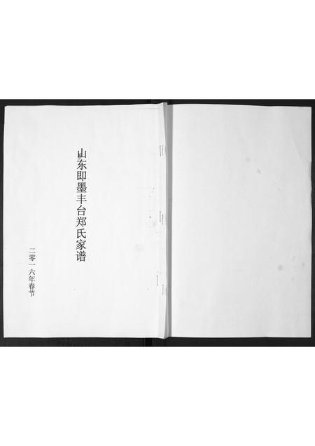 山东郑氏-郑氏家谱[不分卷].pdf电子版插图