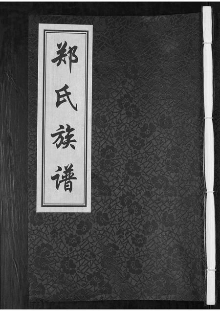 山东郑氏-郑氏族谱[不分卷].pdf电子版插图