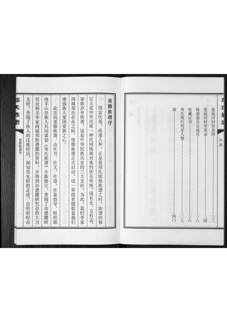 山东郑氏-郑氏族谱[不分卷].pdf电子版插图4