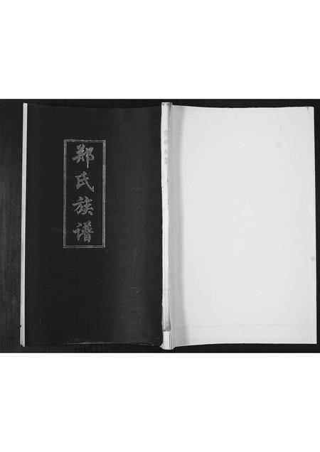山东郑氏-郑氏族谱[不分卷].pdf电子版插图