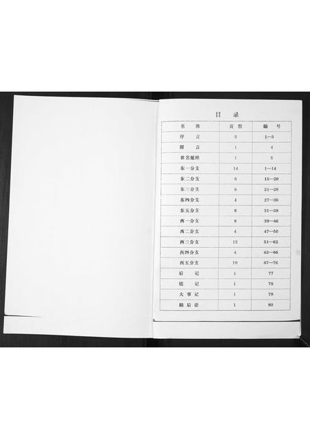山东郑氏-郑氏族谱[不分卷].pdf电子版插图2