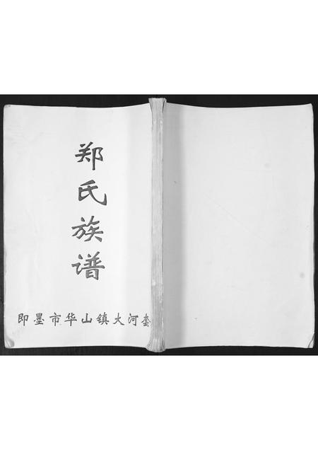山东郑氏-郑氏族谱[不分卷].pdf电子版插图