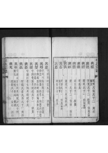 山东杜氏-杜氏宗谱[不分卷].pdf电子版插图2