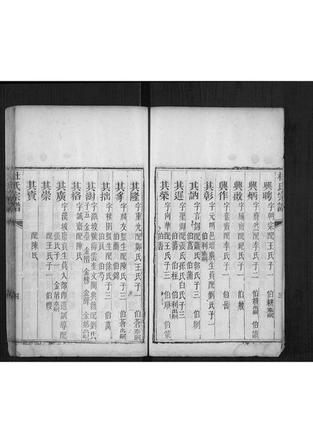 山东杜氏-杜氏宗谱[不分卷].pdf电子版插图4