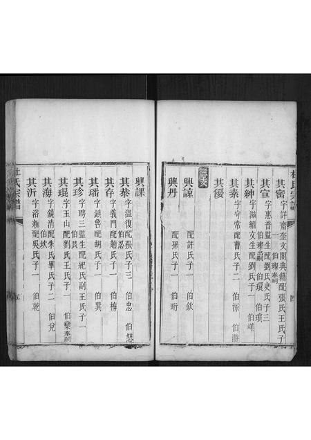 山东杜氏-杜氏宗谱[不分卷].pdf电子版插图5