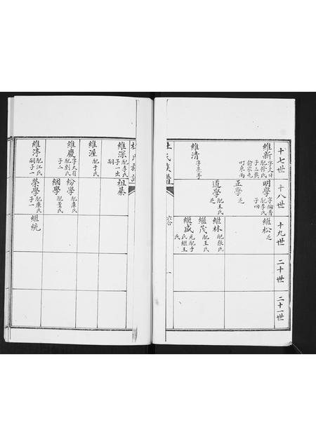 山东杜氏-杜氏族谱.pdf电子版插图1