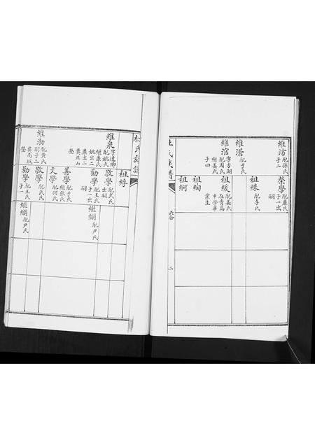 山东杜氏-杜氏族谱.pdf电子版插图2