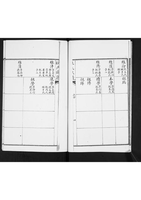 山东杜氏-杜氏族谱.pdf电子版插图4