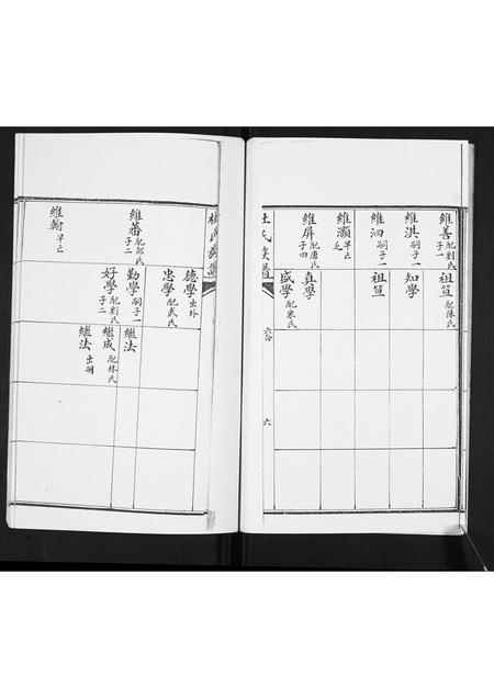 山东杜氏-杜氏族谱.pdf电子版插图5