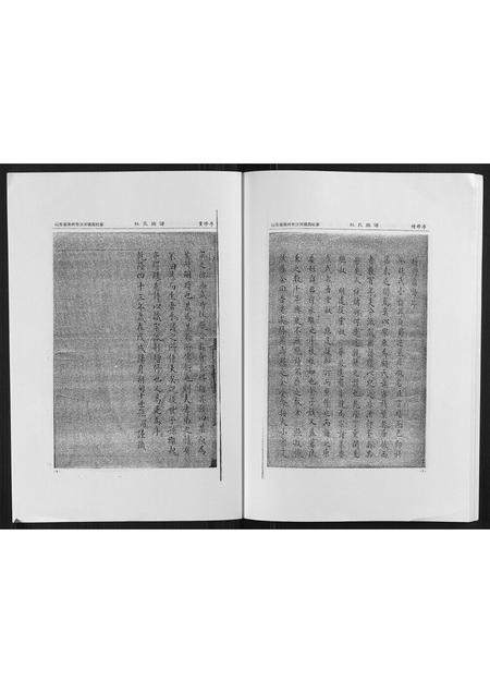 山东杜氏-杜氏族谱.pdf电子版插图5