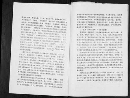 云南郑氏-航海家郑和及其故里家谱与后裔简况[不分卷].pdf电子版插图2