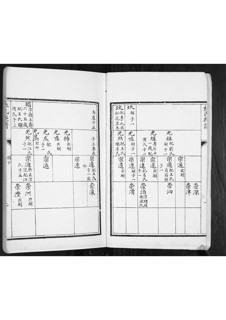 山东杜氏-杜氏族谱[2卷].pdf电子版插图2