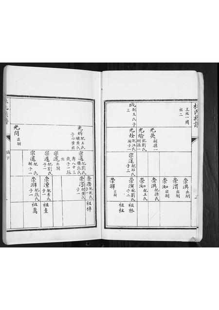 山东杜氏-杜氏族谱[2卷].pdf电子版插图3