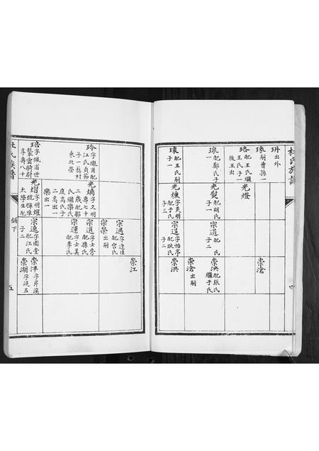 山东杜氏-杜氏族谱[2卷].pdf电子版插图5