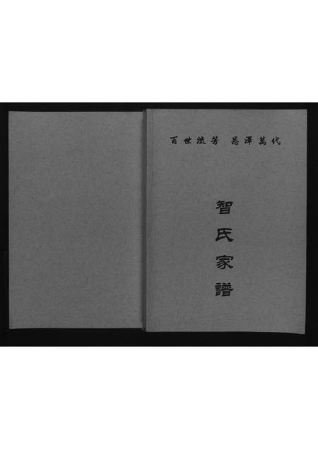 山西智氏-智氏家谱[不分卷].pdf电子版插图