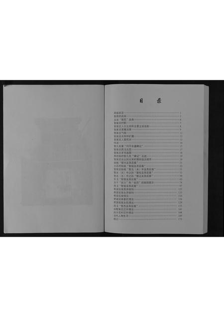 山西智氏-智氏家谱[不分卷].pdf电子版插图4