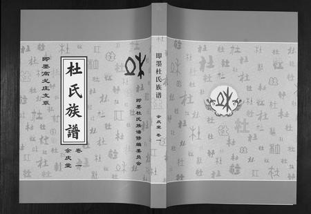 山东杜氏-杜氏族谱[4卷].pdf电子版插图