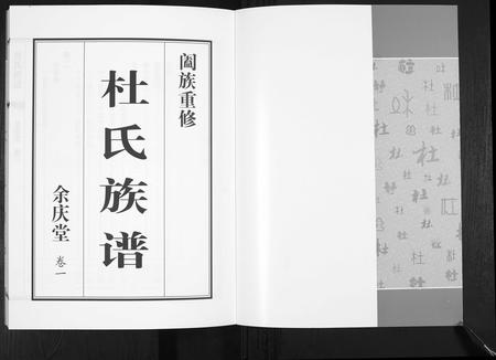 山东杜氏-杜氏族谱[4卷].pdf电子版插图1