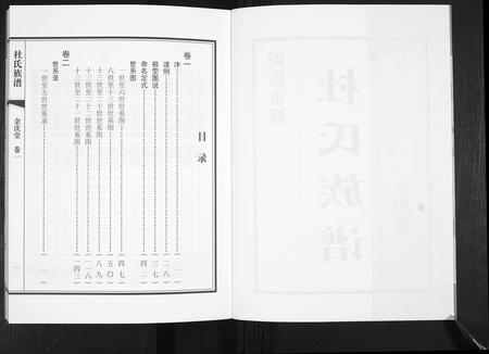 山东杜氏-杜氏族谱[4卷].pdf电子版插图2