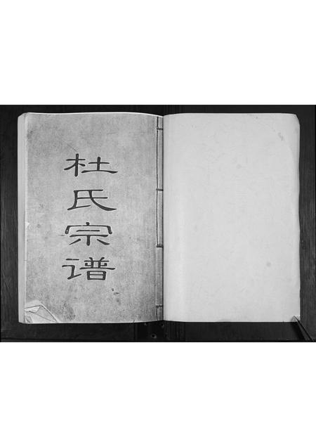 山东杜氏-杜氏族谱[不分卷].pdf电子版插图1