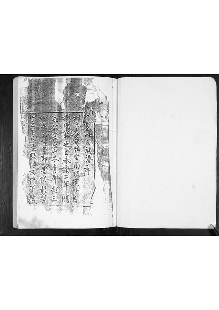 山东杜氏-杜氏族谱[不分卷].pdf电子版插图2