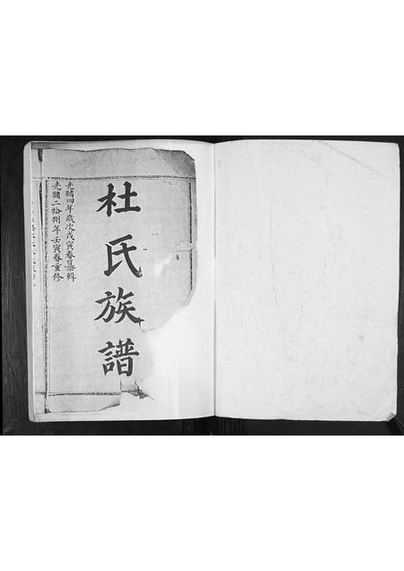 山东杜氏-杜氏族谱[不分卷].pdf电子版插图1