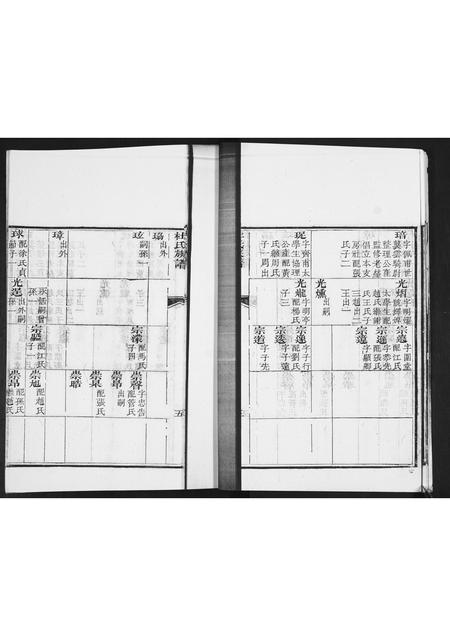 山东杜氏-杜氏族谱[不分卷].pdf电子版插图5