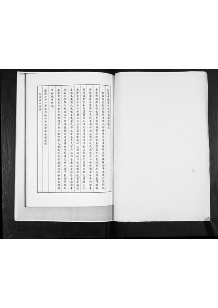 山东杜氏-杜氏族谱[不分卷].pdf电子版插图1