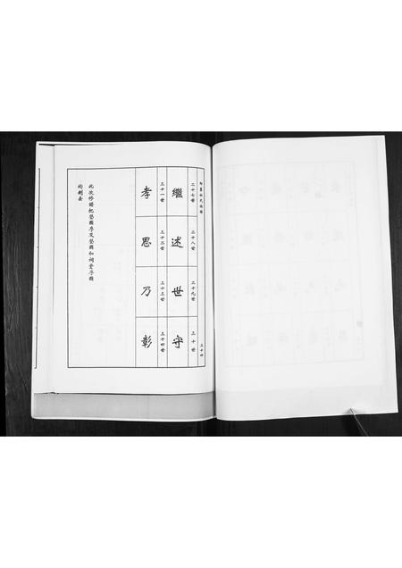 山东杜氏-杜氏族谱[不分卷].pdf电子版插图5