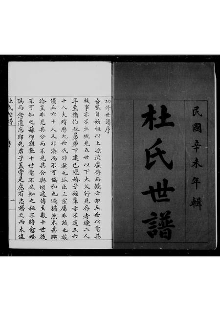 山东杜氏-滨县杜氏家乘(别名：杜氏世谱).pdf电子版插图