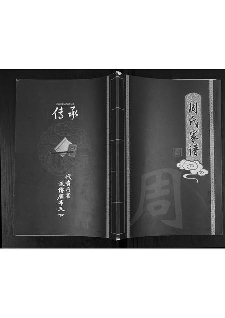山东周氏-周氏家谱[不分卷].pdf电子版插图