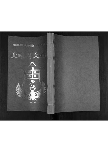 山东周氏-周氏族谱[不分卷].pdf电子版插图