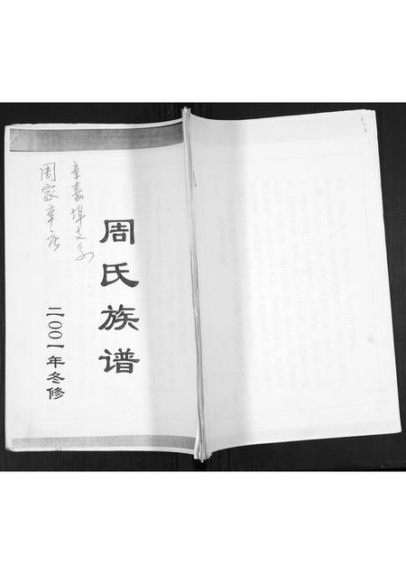 山东周氏-周氏族谱[不分卷].pdf电子版插图