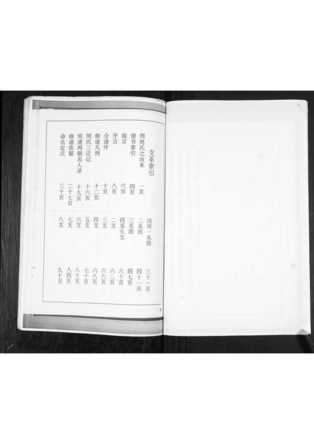 山东周氏-周氏族谱[不分卷].pdf电子版插图4