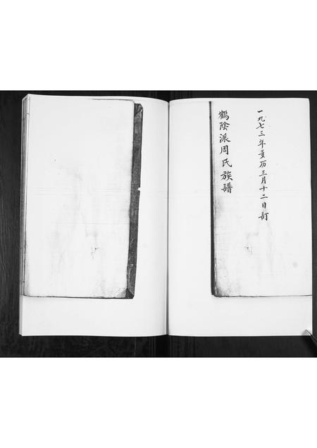 山东周氏-周氏族谱[不分卷].pdf电子版插图1