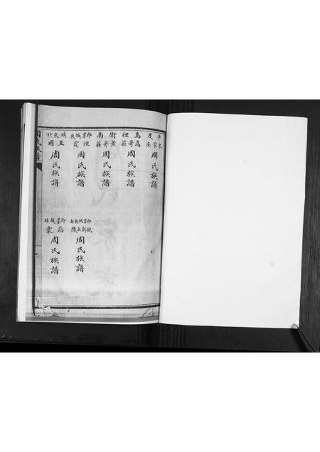 山东周氏-周氏族谱[不分卷].pdf电子版插图1