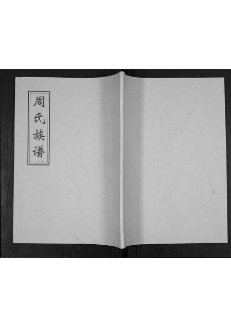 山东周氏-周氏族谱[不分卷].pdf电子版插图